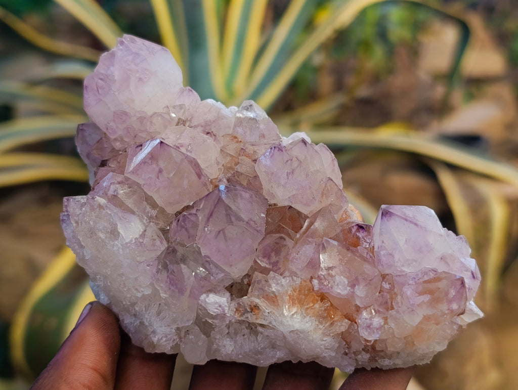 Natural Sunburst Amethyst Spirit Quartz Clusters x 4 From South Africa - Toprock Gemstones and Minerals 