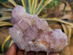 Natural Sunburst Amethyst Spirit Quartz Clusters x 4 From South Africa - Toprock Gemstones and Minerals 