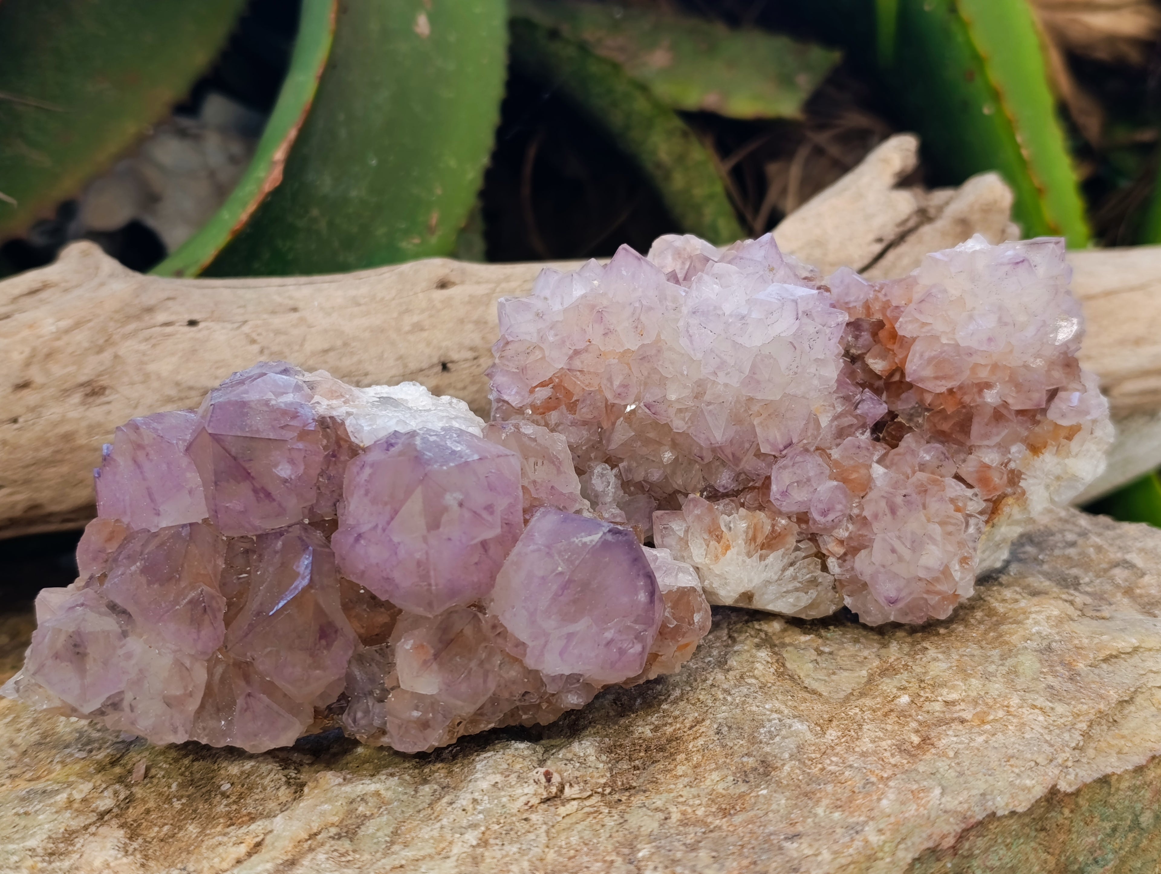 Natural Sunburst Amethyst Spirit Quartz Clusters x 4 From South Africa - Toprock Gemstones and Minerals 