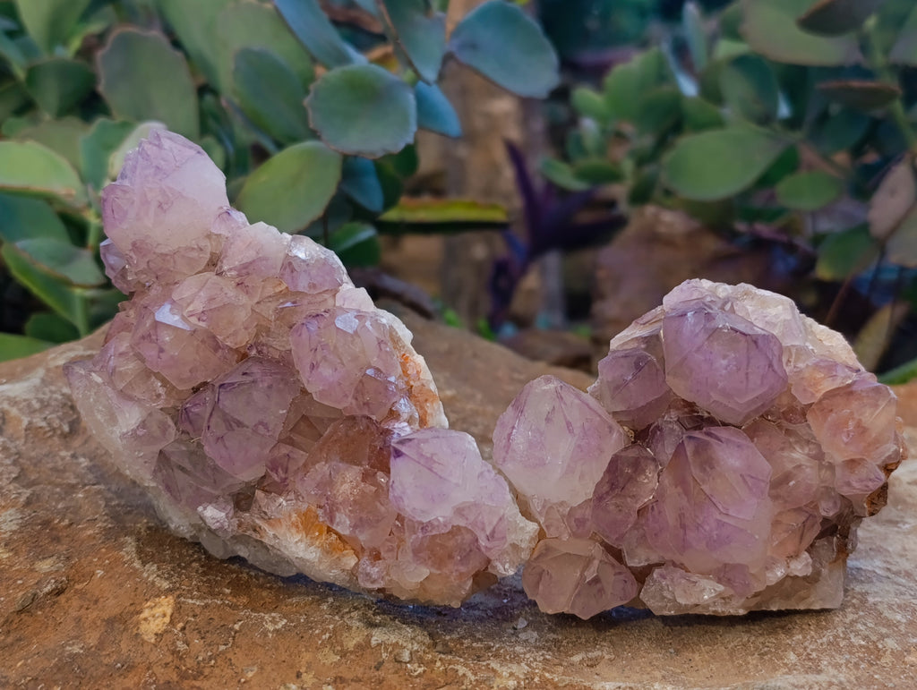 Natural Sunburst Amethyst Spirit Quartz Clusters x 4 From South Africa - Toprock Gemstones and Minerals 