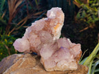 Natural Sunburst Amethyst Spirit Quartz Clusters x 4 From South Africa - Toprock Gemstones and Minerals 