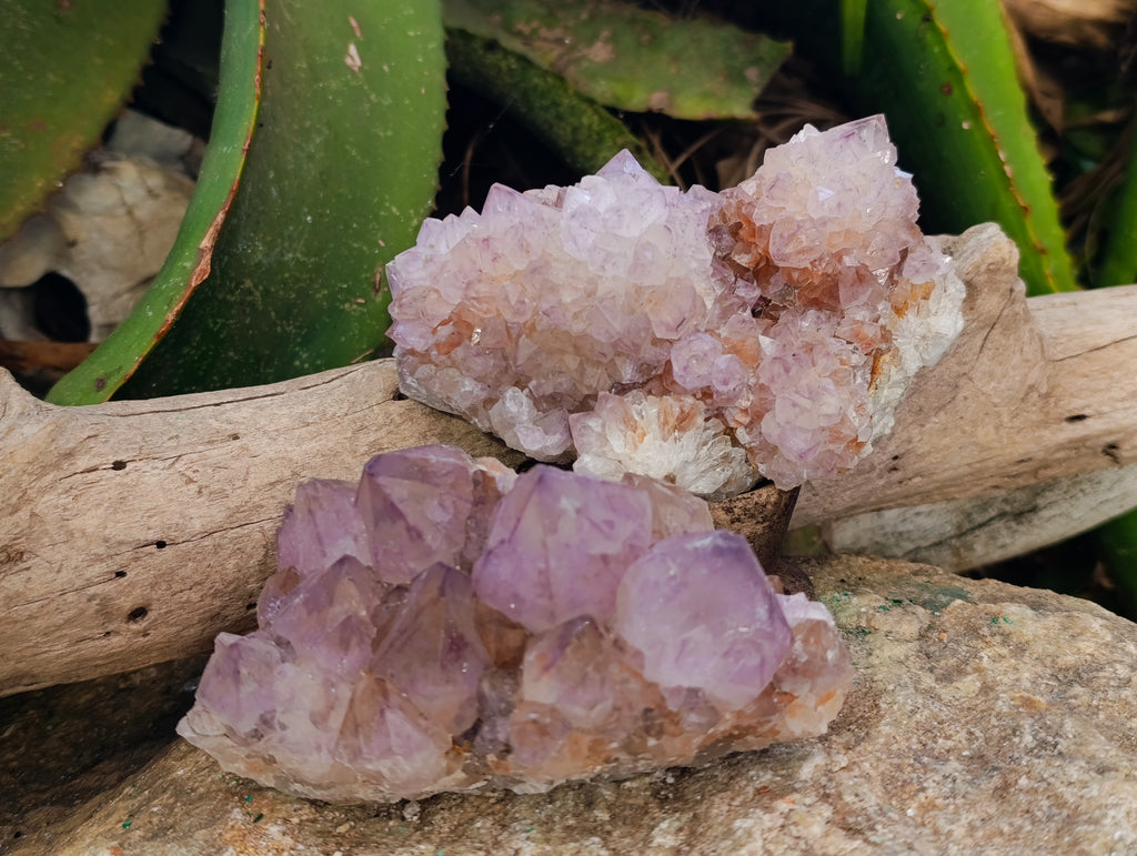 Natural Sunburst Amethyst Spirit Quartz Clusters x 4 From South Africa - Toprock Gemstones and Minerals 
