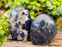 Polished Sodalite Standing Free Forms x 4 From Kunene River, Namibia - Toprock Gemstones and Minerals 