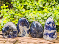Polished Sodalite Standing Free Forms x 4 From Kunene River, Namibia - Toprock Gemstones and Minerals 