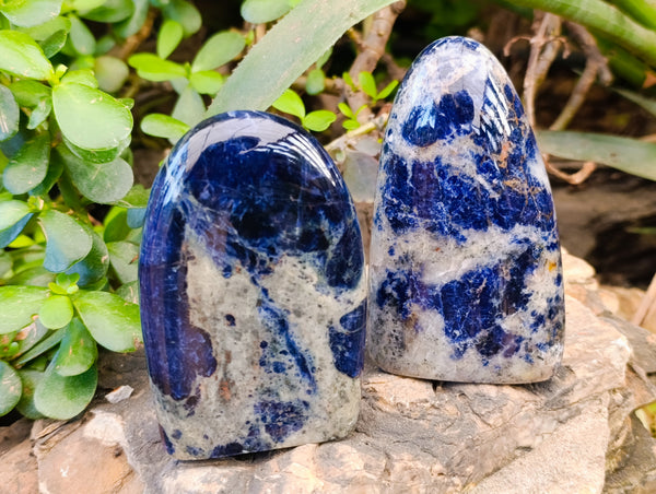 Polished Sodalite Standing Free Forms x 4 From Kunene River, Namibia