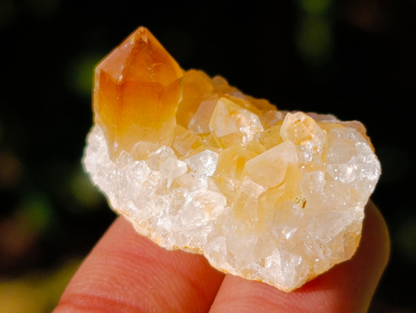 Natural Mini Golden Healer Limonite Quartz Single Crystals and Clusters x 2.43 Kg Lot From Solwezi, Zambia