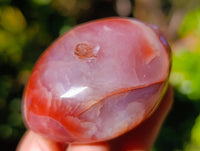 Polished Red Sashe River Agate Free Forms x 6 From Zimbabwe