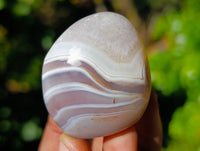 Polished Red Sashe River Agate Free Forms x 6 From Zimbabwe