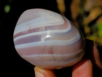 Polished Red Sashe River Agate Free Forms x 6 From Zimbabwe