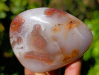Polished Red Sashe River Agate Free Forms x 6 From Zimbabwe
