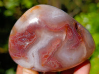 Polished Red Sashe River Agate Free Forms x 6 From Zimbabwe