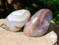 Polished Red Sashe River Agate Free Forms x 6 From Zimbabwe