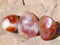 Polished Red Sashe River Agate Free Forms x 6 From Zimbabwe