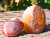 Polished Red Sashe River Agate Free Forms x 6 From Zimbabwe