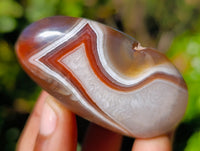 Polished Red Sashe River Agate Free Forms x 6 From Zimbabwe