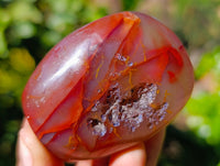 Polished Red Sashe River Agate Free Forms x 6 From Zimbabwe