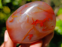 Polished Red Sashe River Agate Free Forms x 6 From Zimbabwe