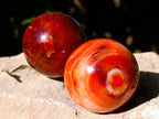 Polished Carnelian Agate Spheres x 6 From Madagascar - Toprock Gemstones and Minerals 