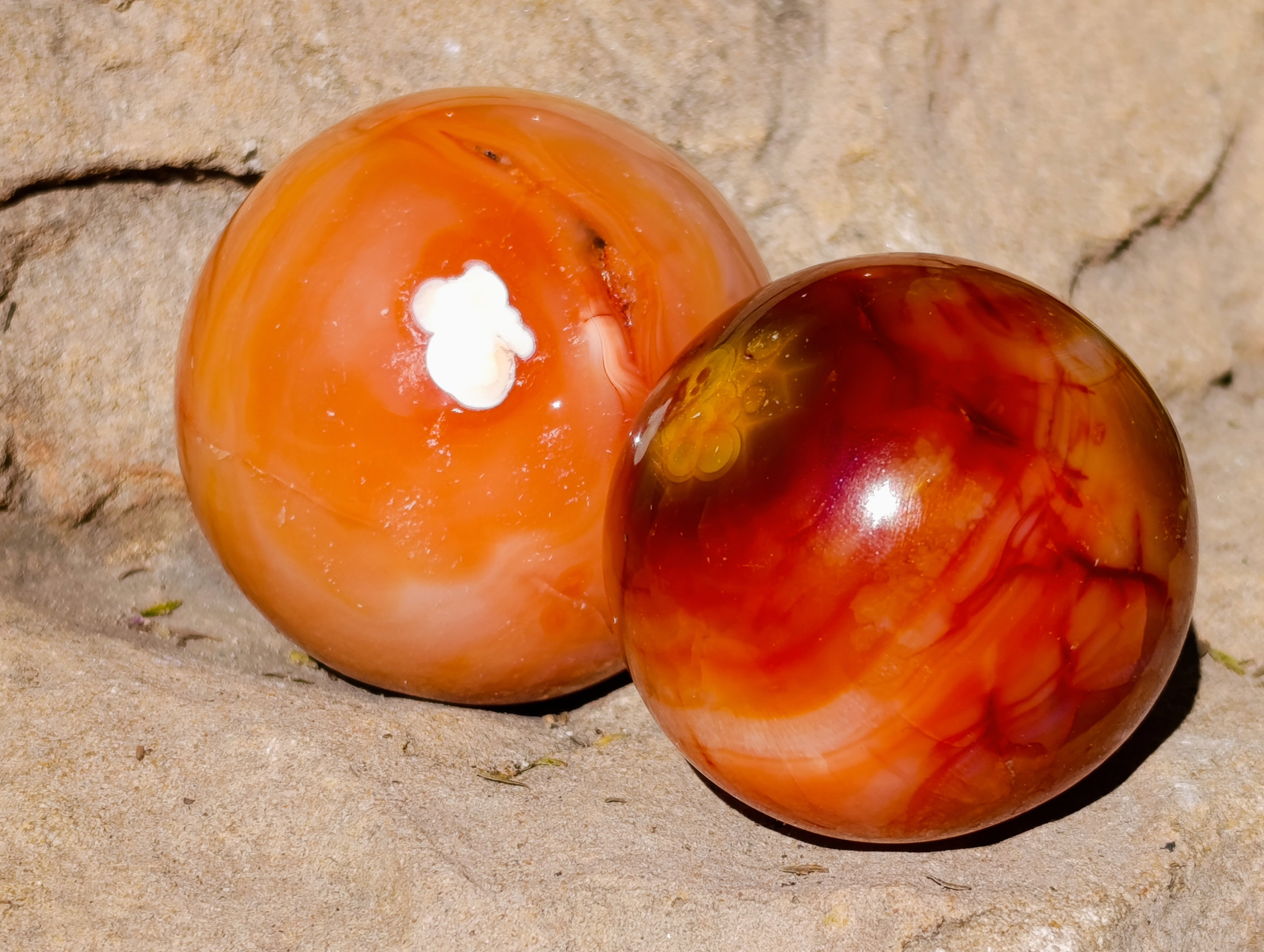 Polished Carnelian Agate Spheres x 6 From Madagascar - Toprock Gemstones and Minerals 