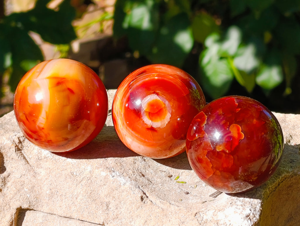 Polished Carnelian Agate Spheres x 6 From Madagascar - Toprock Gemstones and Minerals 