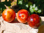 Polished Carnelian Agate Spheres x 6 From Madagascar - Toprock Gemstones and Minerals 
