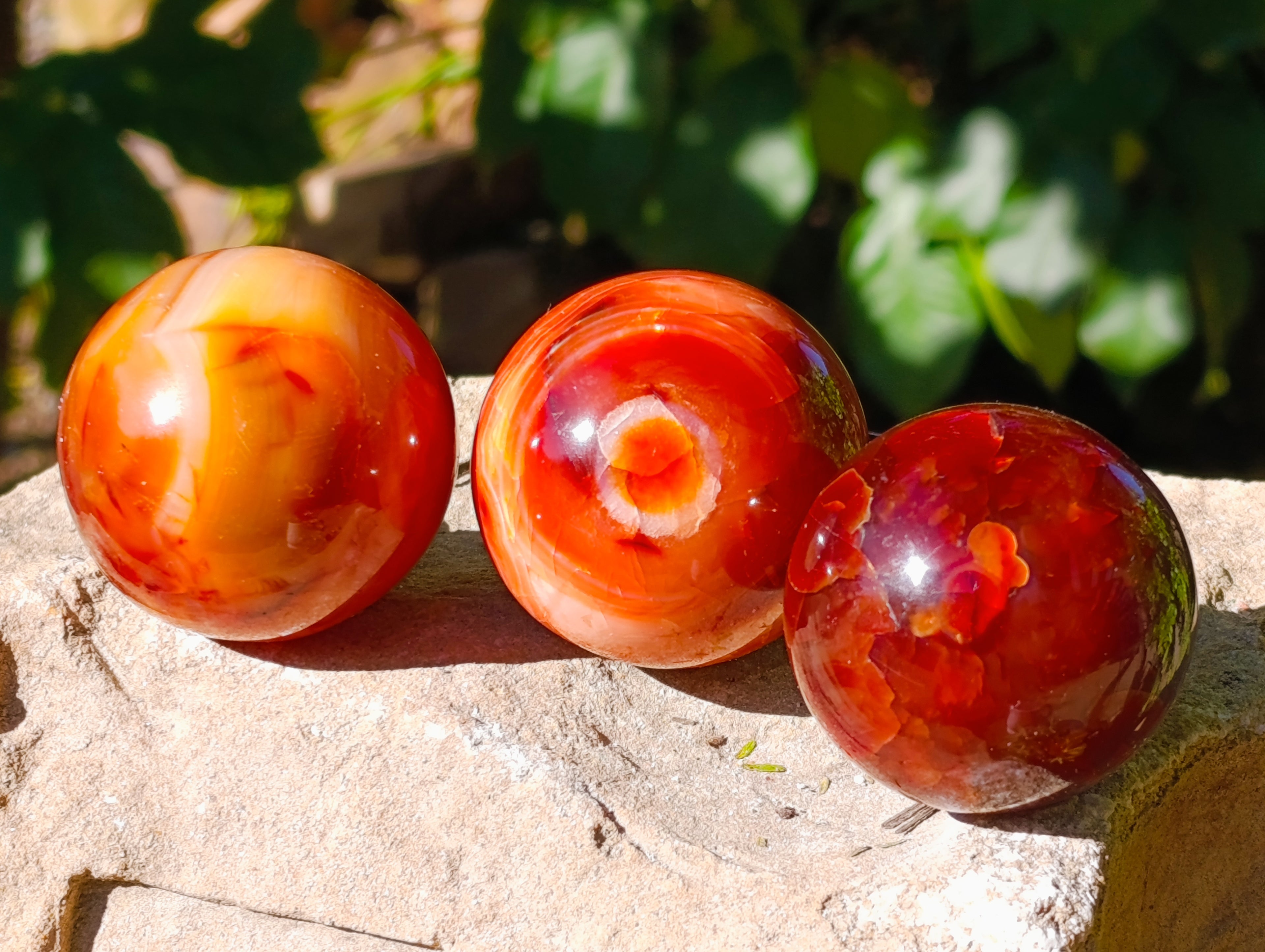Polished Carnelian Agate Spheres x 6 From Madagascar - Toprock Gemstones and Minerals 