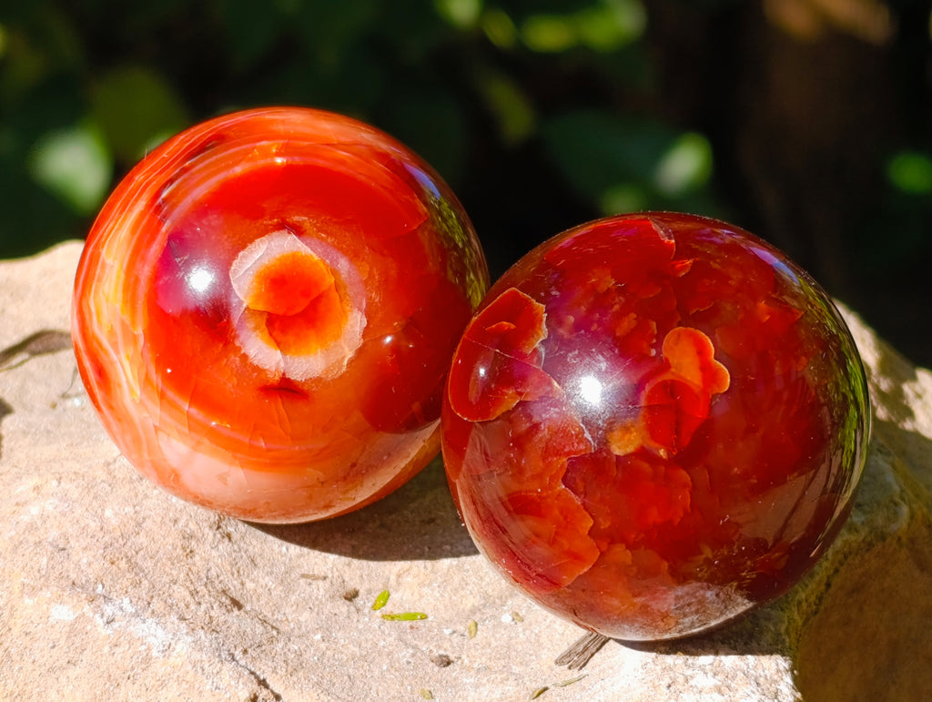 Polished Carnelian Agate Spheres x 6 From Madagascar - Toprock Gemstones and Minerals 