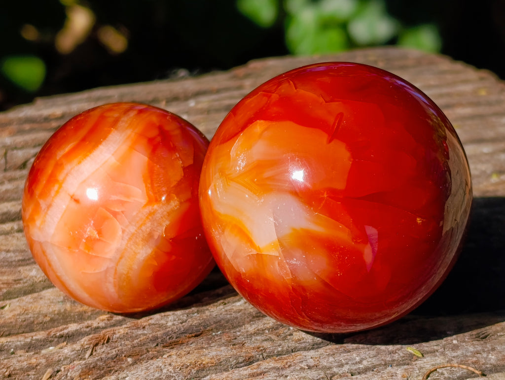 Polished Carnelian Agate Spheres x 6 From Madagascar - Toprock Gemstones and Minerals 