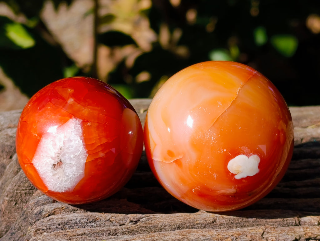 Polished Carnelian Agate Spheres x 6 From Madagascar - Toprock Gemstones and Minerals 