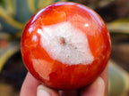 Polished Carnelian Agate Spheres x 6 From Madagascar - Toprock Gemstones and Minerals 