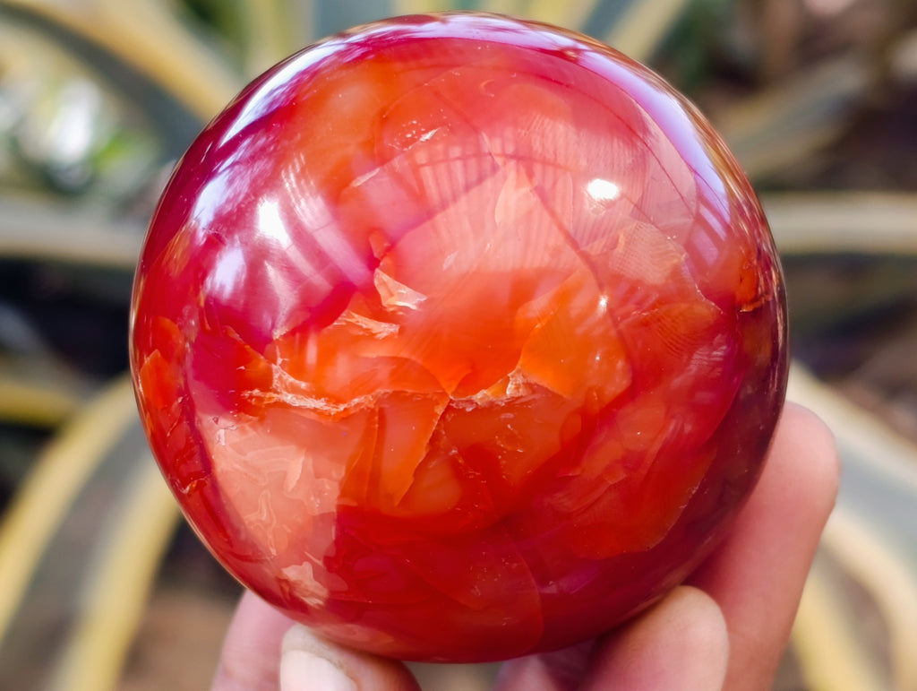 Polished Carnelian Agate Spheres x 6 From Madagascar - Toprock Gemstones and Minerals 