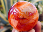 Polished Carnelian Agate Spheres x 6 From Madagascar - Toprock Gemstones and Minerals 