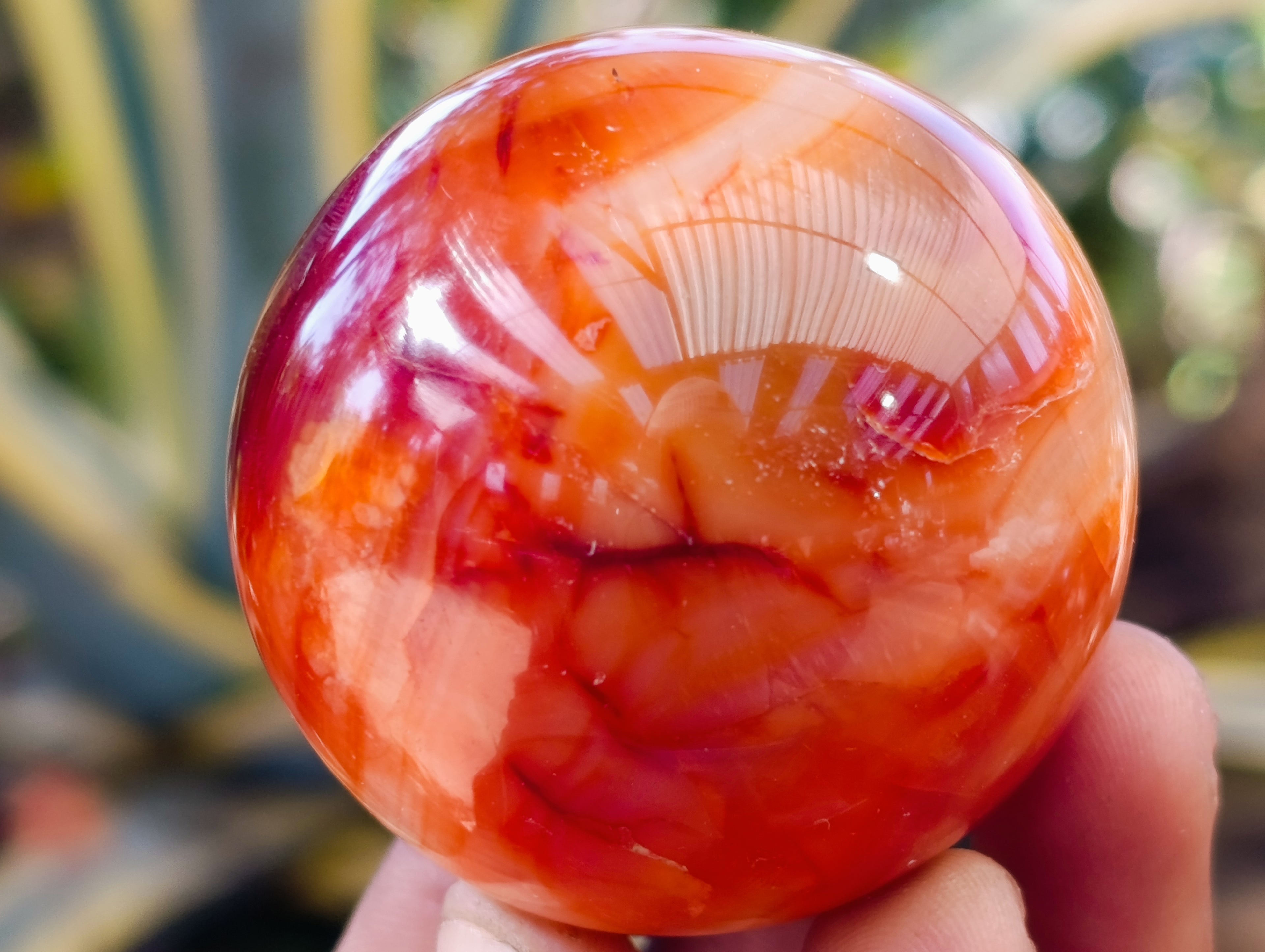 Polished Carnelian Agate Spheres x 6 From Madagascar - Toprock Gemstones and Minerals 