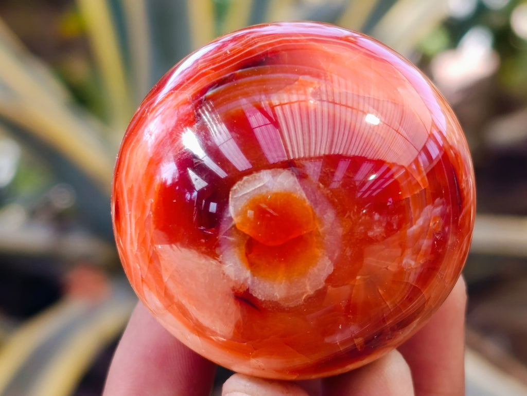 Polished Carnelian Agate Spheres x 6 From Madagascar - Toprock Gemstones and Minerals 