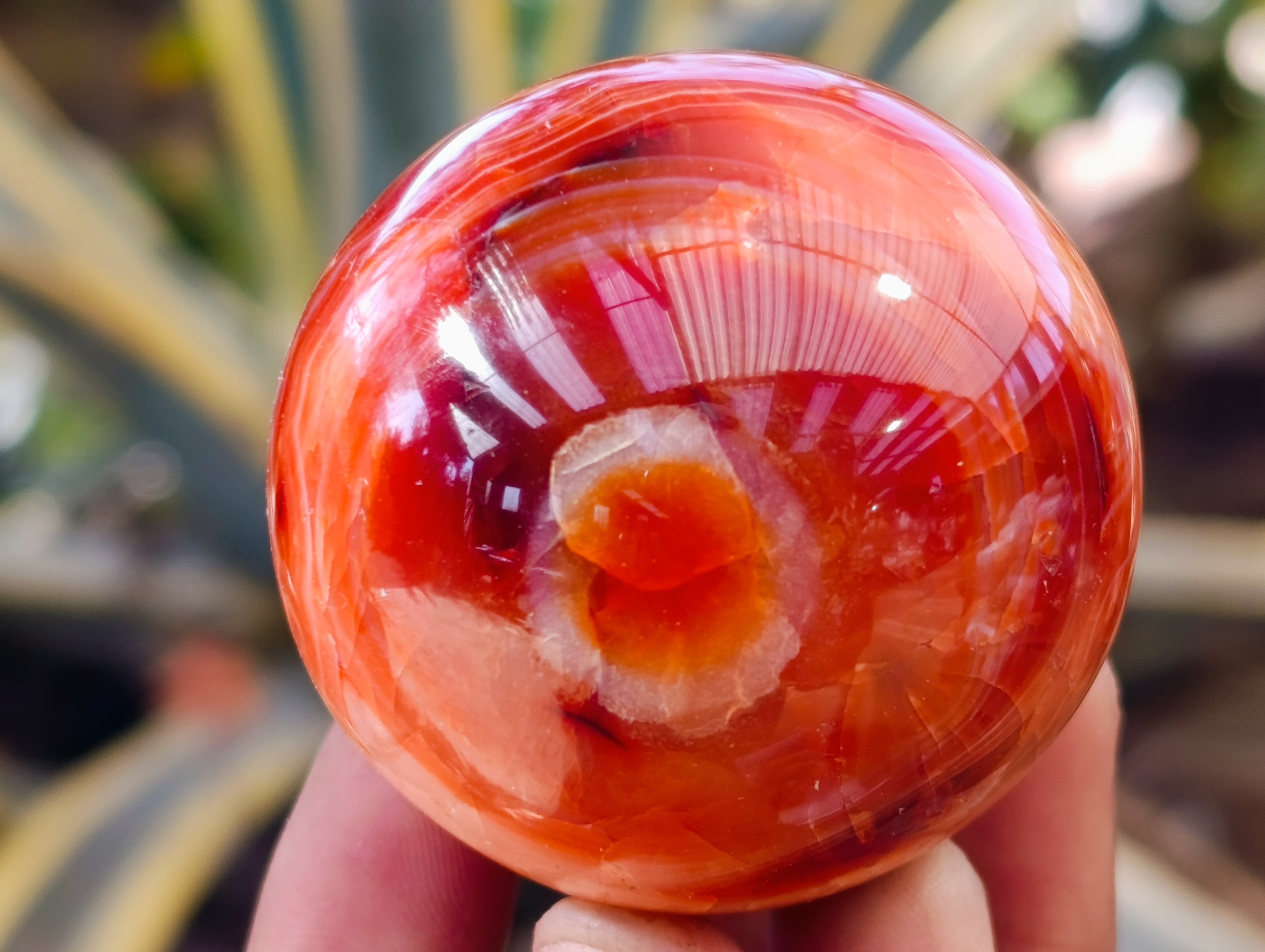 Polished Carnelian Agate Spheres x 6 From Madagascar - Toprock Gemstones and Minerals 