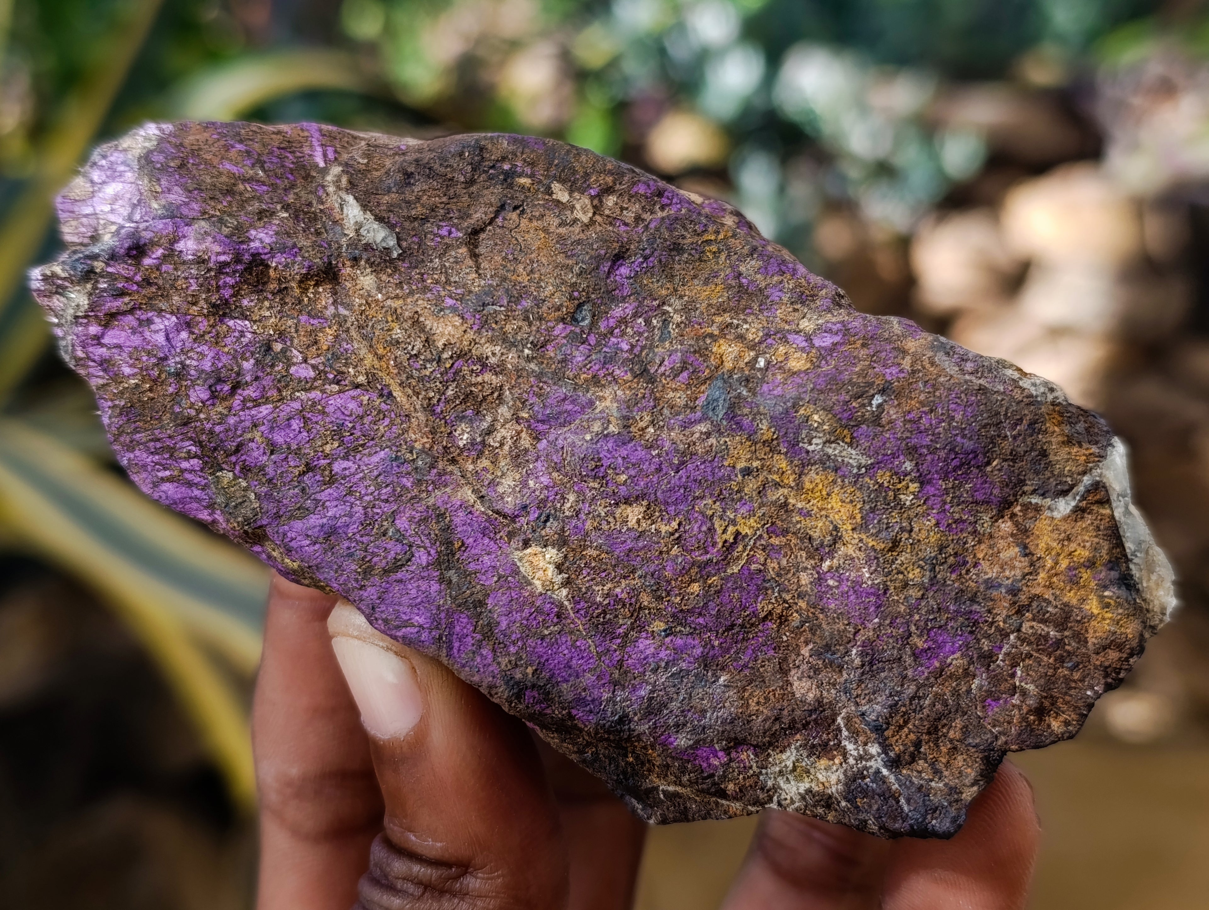 Natural Metallic Purpurite Cobbed Specimens x 5 From Erongo, Namibia - Toprock Gemstones and Minerals 