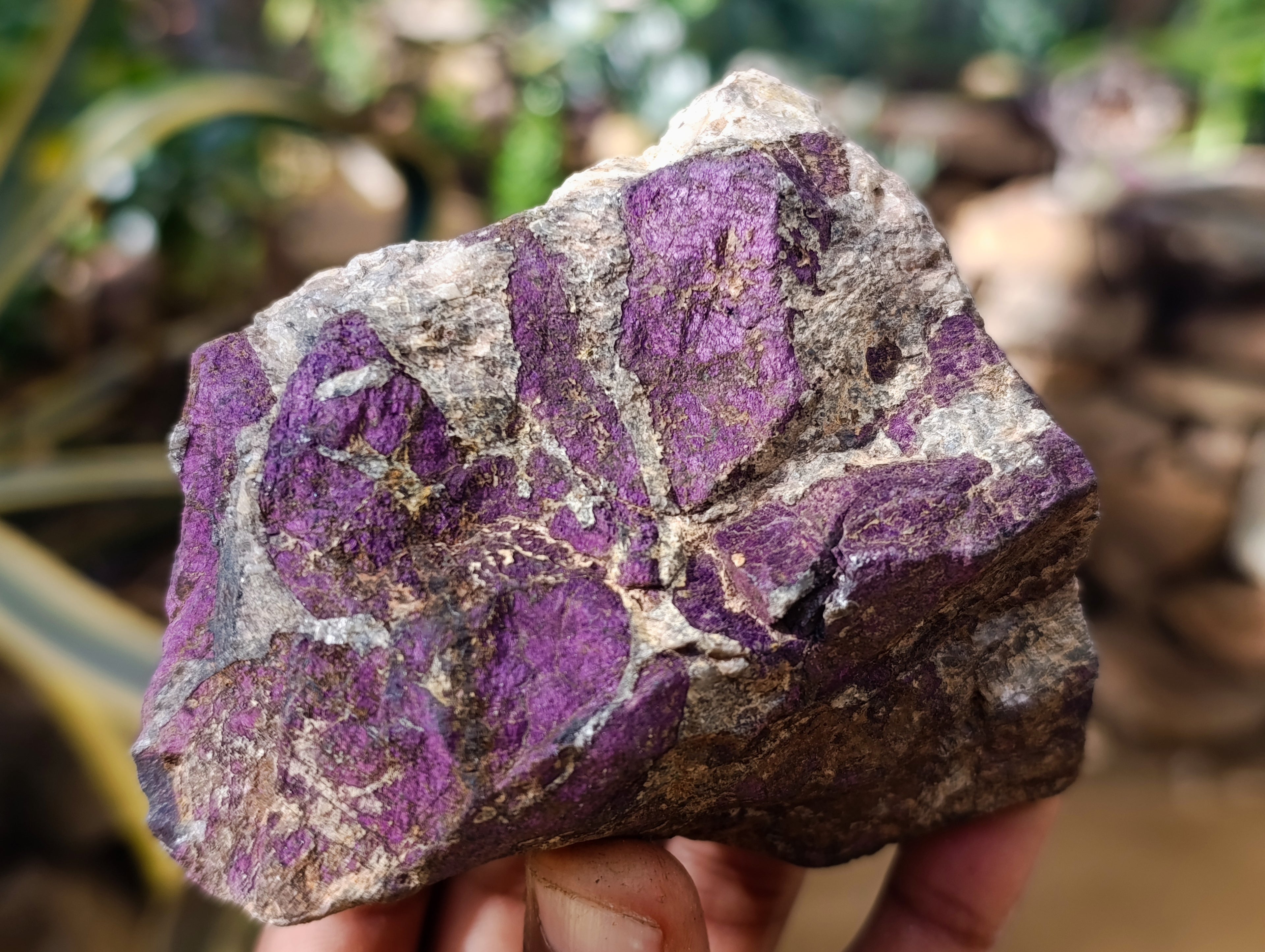 Natural Metallic Purpurite Cobbed Specimens x 5 From Erongo, Namibia - Toprock Gemstones and Minerals 