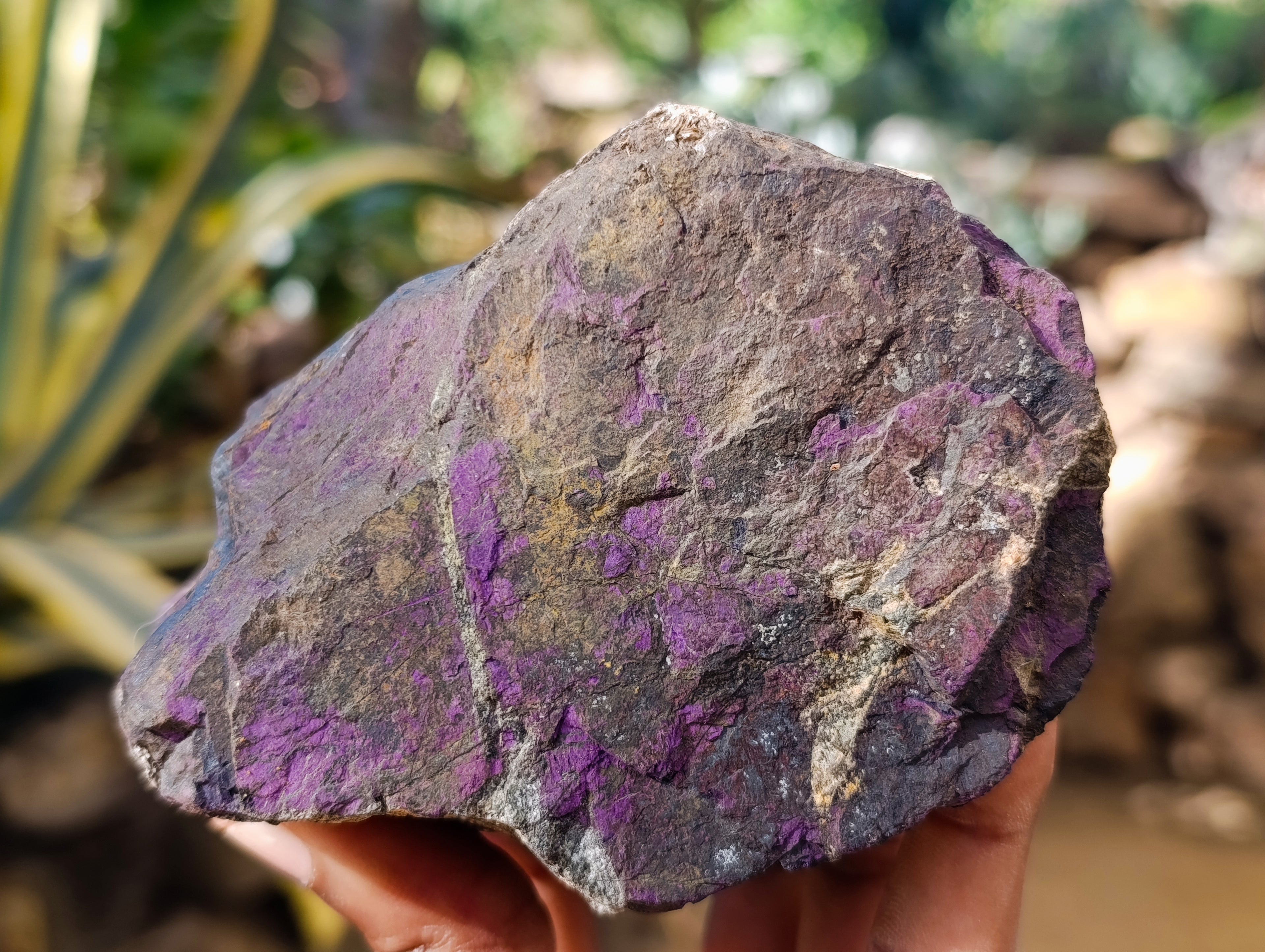 Natural Metallic Purpurite Cobbed Specimens x 5 From Erongo, Namibia - Toprock Gemstones and Minerals 