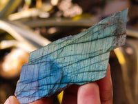 Polished On One Side Labradorite Plates x 35 From Tulear, Madagascar