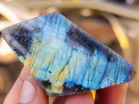 Polished On One Side Labradorite Plates x 35 From Tulear, Madagascar
