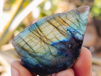 Polished On One Side Labradorite Plates x 35 From Tulear, Madagascar