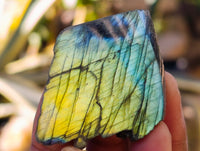 Polished On One Side Labradorite Plates x 35 From Tulear, Madagascar