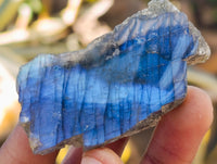 Polished On One Side Labradorite Plates x 35 From Tulear, Madagascar