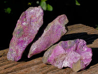 Natural Stichtite Cobbed Specimens x 12 From Barberton, South Africa