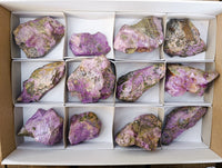 Natural Stichtite Cobbed Specimens x 12 From Barberton, South Africa