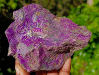 Natural Stichtite Cobbed Specimens x 12 From Barberton, South Africa