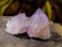 Natural Sunburst Cactus Flower Amethyst Spirit Quartz Clusters x 20 From South Africa