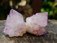 Natural Sunburst Cactus Flower Amethyst Spirit Quartz Clusters x 20 From South Africa