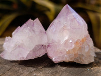 Natural Sunburst Cactus Flower Amethyst Spirit Quartz Clusters x 20 From South Africa