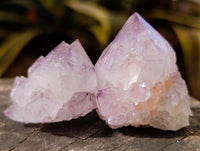 Natural Sunburst Cactus Flower Amethyst Spirit Quartz Clusters x 20 From South Africa
